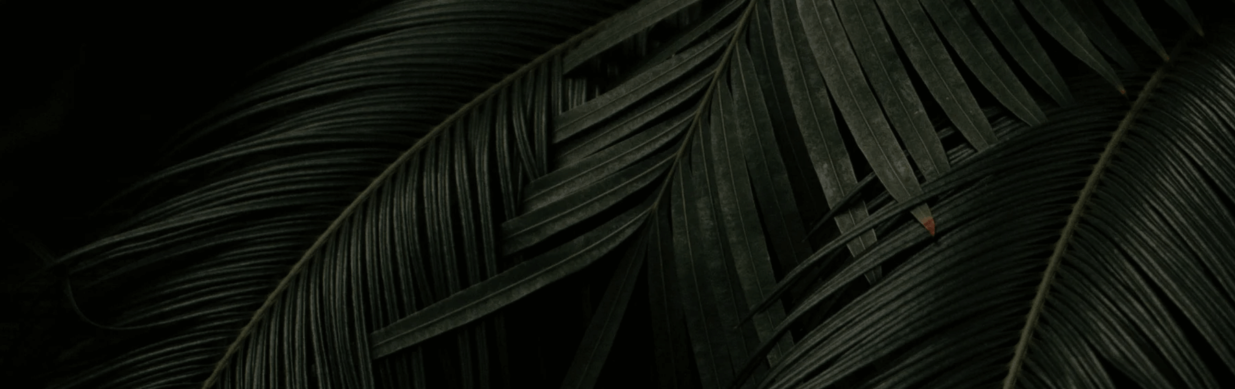 Aboutbanner2